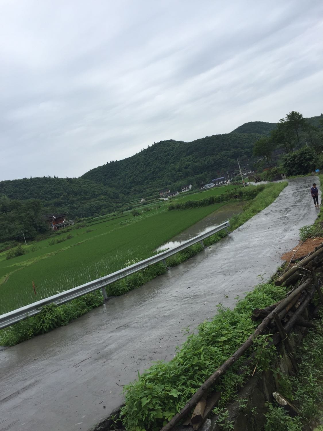 泉坝村天气预报更新通知