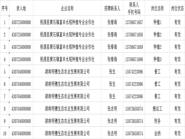 南屿镇最新招聘信息全面解析