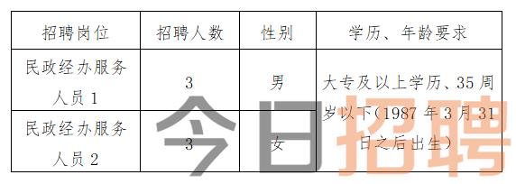 敦化市民政局最新招聘信息解读与应聘指南