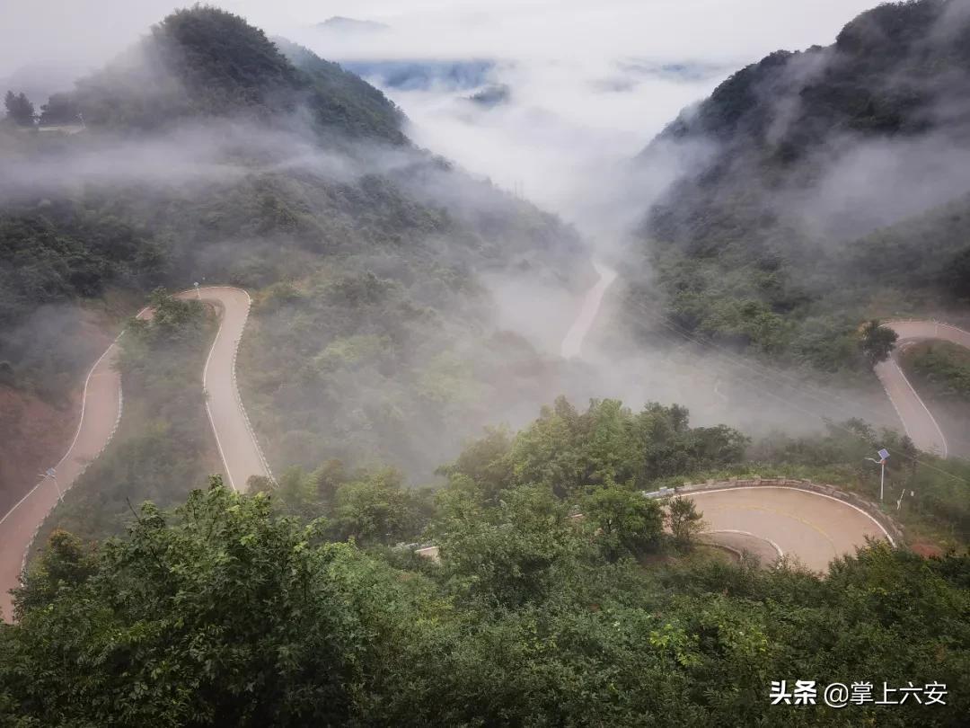 西莲乡新项目，引领乡村发展新篇章