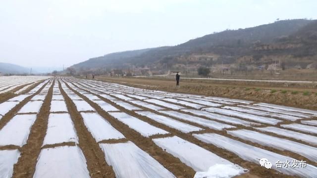 蒿咀铺乡最新交通动态