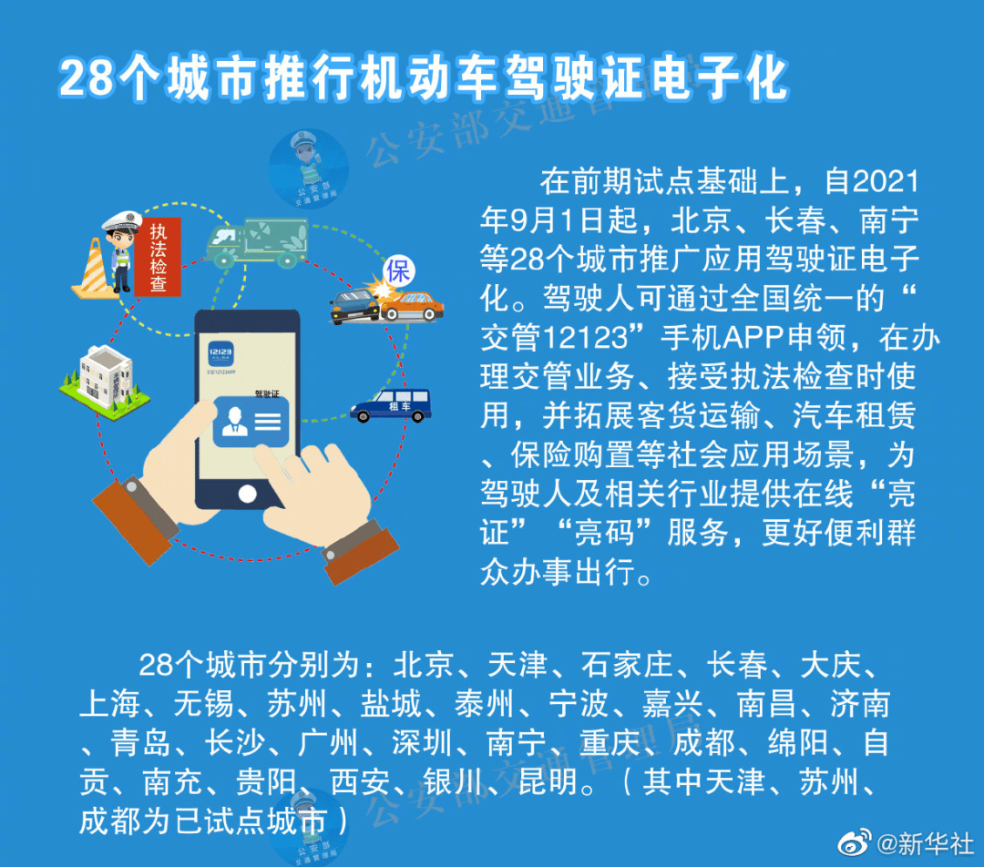 新奥管家婆资料2024年85期,准确资料解释落实_SP89.689