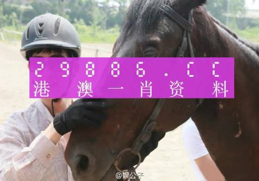 澳门一肖一码一必中一肖同舟前进,最新核心解答落实_HD38.32.12