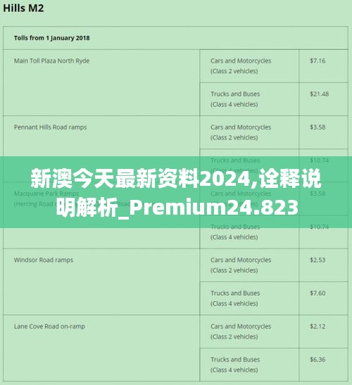 新澳2024正版免费资料,效率资料解释落实_体验版3.3