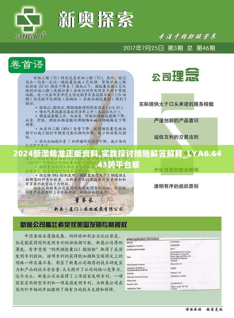 新澳精准资料,全局性策略实施协调_升级版8.163