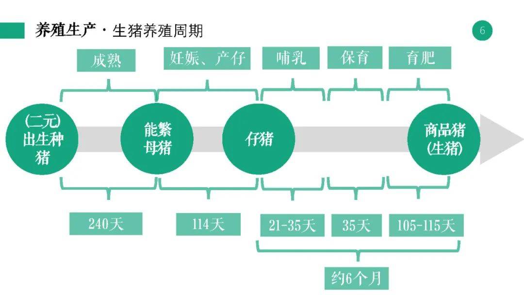 金龙彩免费资料,实证分析说明_zShop71.588