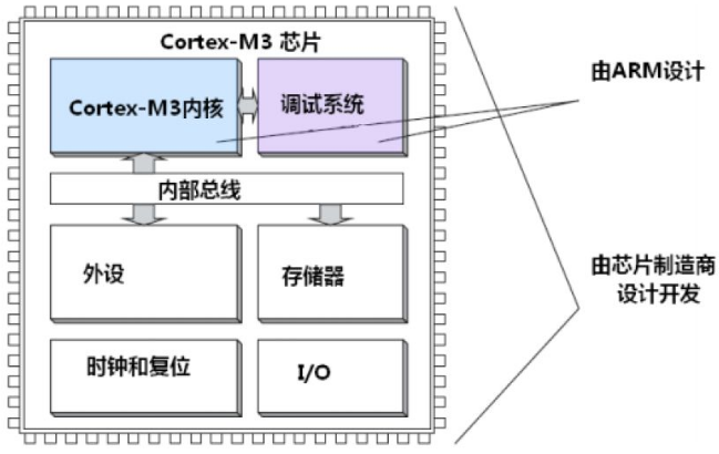 离夏惜柚子