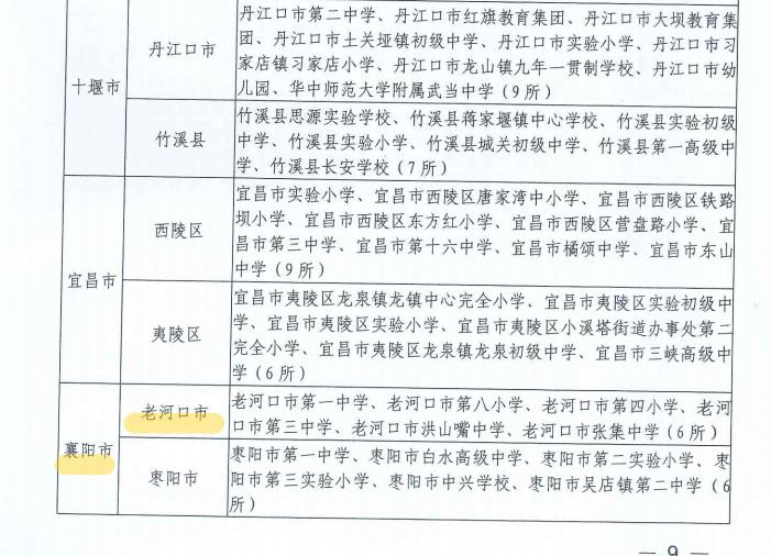 老河口市科学技术和工业信息化局最新项目进展与未来展望