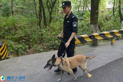 沙坪坝区退役军人事务局深化服务项目，致敬英雄，服务升级